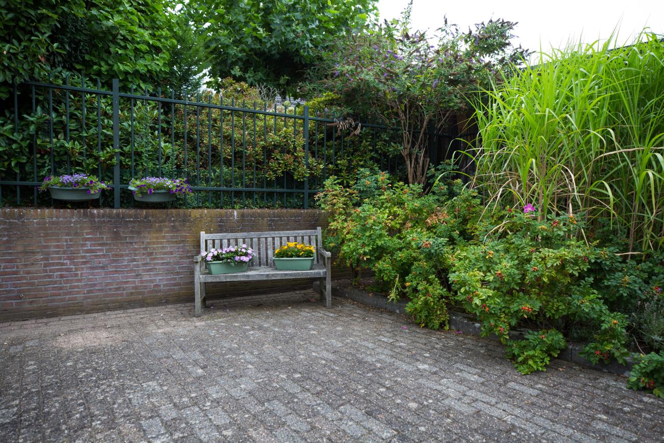 Tuin Dorpstraat